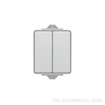 2 Gang 2 Way Light Switch гадаргуу дээр суурилуулсан